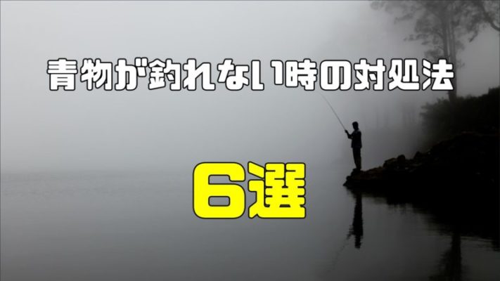 カヤックフィッシングを始めるのに必要なもの 服装や装備品 準備しないといけない物 費用等 越前noobゆーたオフィシャルブログ