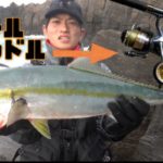 Pe0 6号 ダイソールアーで挑む 初春のショアジギング 堤防でサワラ祭り In 福井 越前noobゆーたオフィシャルブログ