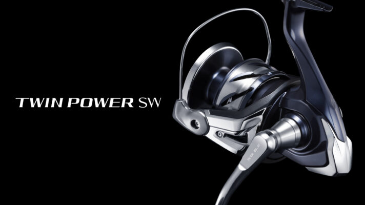 良質 15ツインパワーsw5000純正替えスプール | www.tuttavia.eu